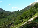 Usciti dal bosco mettiamo a fuoco la Colma di Premosello